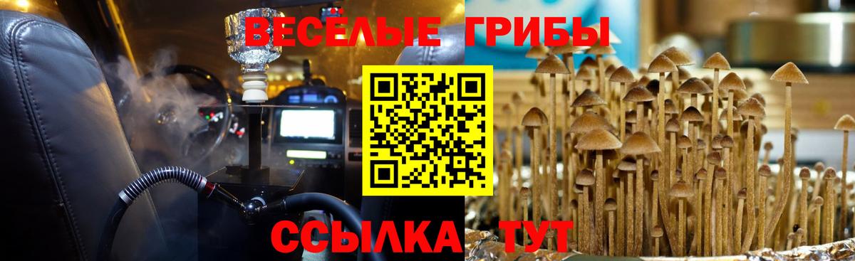 Галлюциногенные грибы Magic Shrooms  Вход с VPN  Кингисепп 
